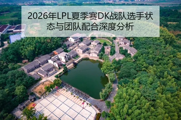 2026年LPL夏季赛DK战队选手状态与团队配合深度分析